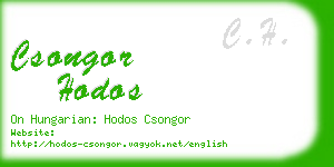 csongor hodos business card